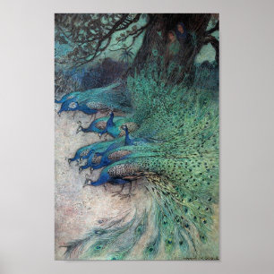 illustratie van het Peacock-boek Poster