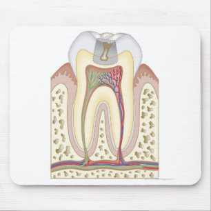 Illustratie van het Tooth Decay Muismat