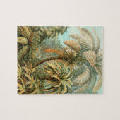  illustratie van het tropisch palmbos legpuzzel (Horizontaal)