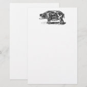  illustratie van huishog - 1800's Varkens Briefpapier (Voorkant / Achterkant)