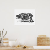 illustratie van huishog - 1800's Varkens Poster (Keuken)