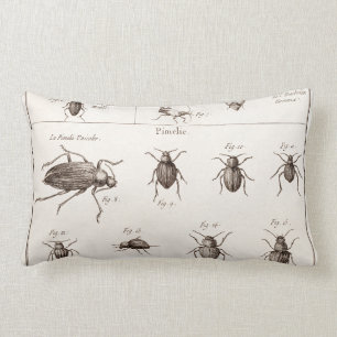 Illustratie van insecten, beestjes, kevers uit de kussen