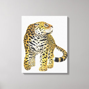 Illustratie van Jaguar met kop in profiel Canvas Afdruk