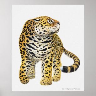 Illustratie van Jaguar met kop in profiel Poster