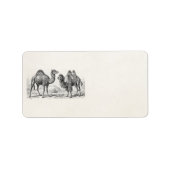  illustratie van kameel - Antiek rekenkampen in Re Etiket (Voorkant)