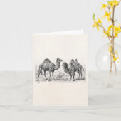  illustratie van kameel - Antiek rekenkampen in Re Kaart (Gele Bloem)