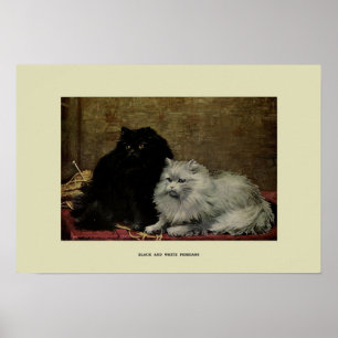 illustratie van katten poster