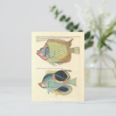  Illustratie van Kleurrijke Vis Briefkaart (Staand voorkant)