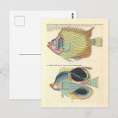  Illustratie van Kleurrijke Vis Briefkaart (Voorkant / Achterkant)