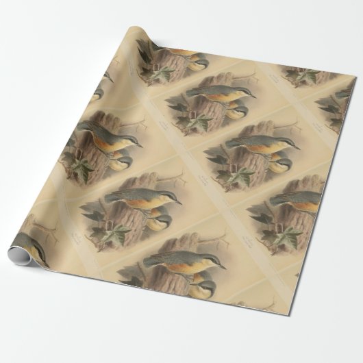 illustratie van Nuthatch Cadeaupapier (Uitgerold)