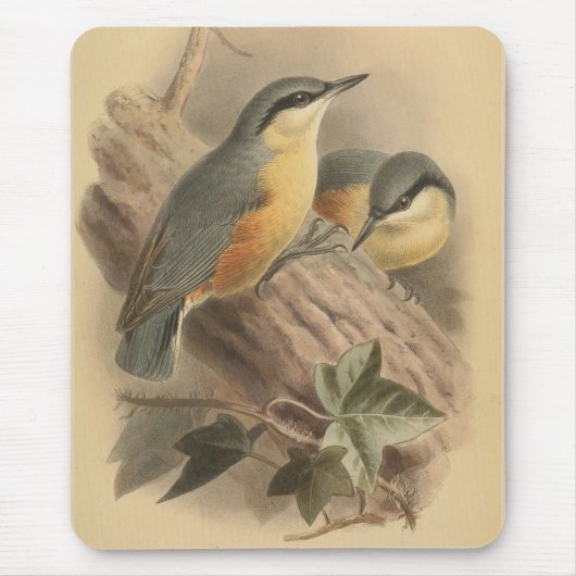  illustratie van Nuthatch Muismat (Voorkant)
