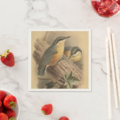 illustratie van Nuthatch Servet (Insitu)