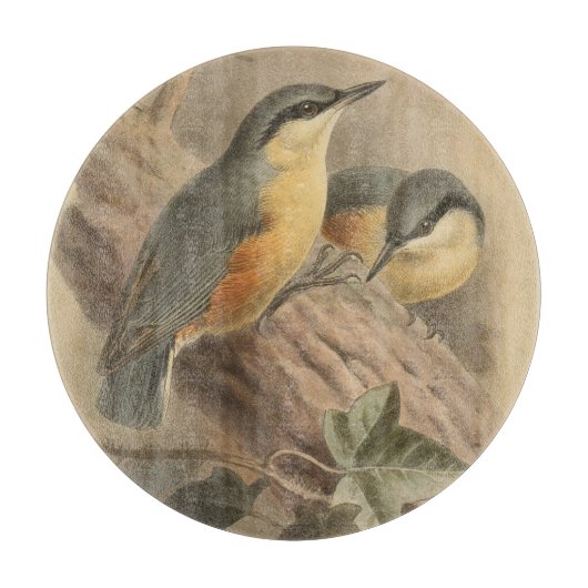 illustratie van Nuthatch Snijplank (Voorkant)