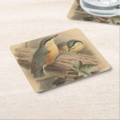 illustratie van Nuthatch Vierkante Kartonnen Onderzetter (Schuin)