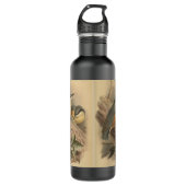  illustratie van Nuthatch Waterfles (Voorkant)