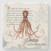Illustratie van octopus 🐙 stenen onderzetter (Voorkant)