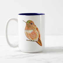 Illustratie van Oranje roufus Hummingbird