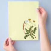 Illustratie van paardenbloem in vintage stijl flyer (Hand)