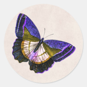 illustratie van Paarse en goudvlinder Ronde Sticker