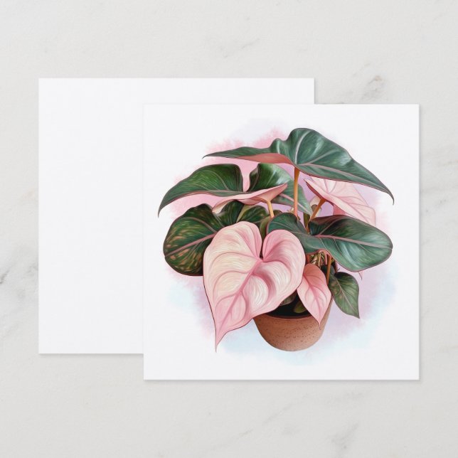 Illustratie van Pink Princess Philodendron (Voorkant / Achterkant)