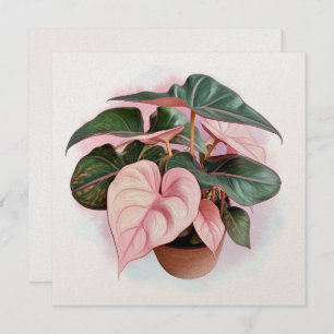 Illustratie van Pink Princess Philodendron