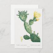  illustratie van plant (Voorkant / Achterkant)