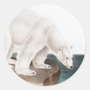 Illustratie van poolBeer (Ursus maritimus) Ronde Sticker