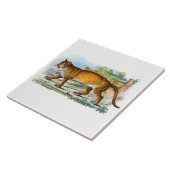 illustratie van Puma-dier Tegeltje (Zijkant)