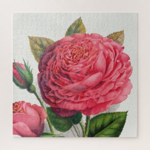 Illustratie van roze vintage roos legpuzzel