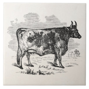  illustratie van speciale opsomming door Kerry Cow Tegeltje