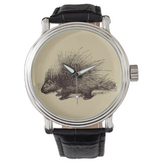  illustratie van stekelvarkens horloge