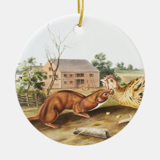 Illustratie van Tawny Weasel (Putorius fuscus) Keramisch Ornament (Voorkant)