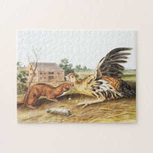 Illustratie van Tawny Weasel (Putorius fuscus) Legpuzzel