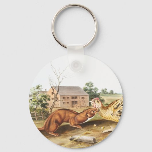 Illustratie van Tawny Weasel (Putorius fuscus) Sleutelhanger (Voorkant)