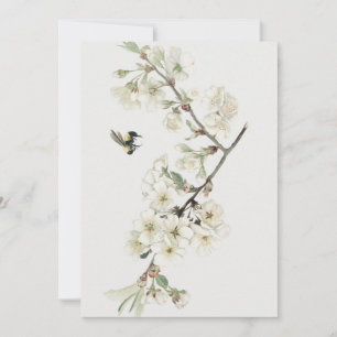 Illustratie van vintage appelbloesem kaart