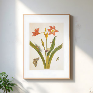 Illustratie van vintage bloemenplant botanisch poster