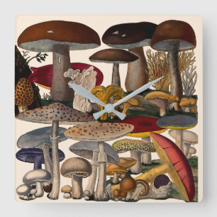 Illustratie van vintage paddenstoelen vierkante klok