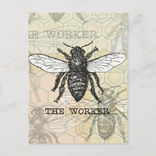 Illustratie van vintage werkbij briefkaart