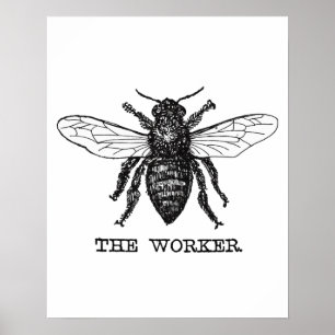 Illustratie van vintage werkbij poster