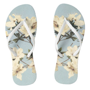 Illustratie van vintage witte crème azalea bloem teenslippers