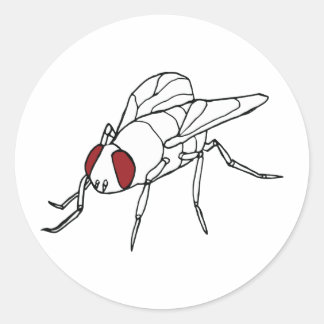 illustratie van vliegende insecten ronde sticker