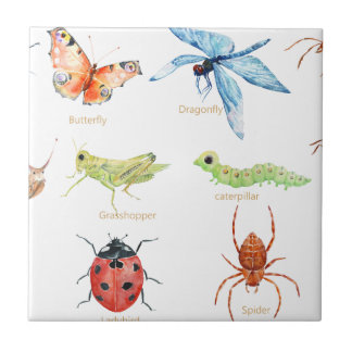 illustratie van waterverf insecten tegeltje