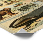  illustratie van wilde dieren poster (Hoek)