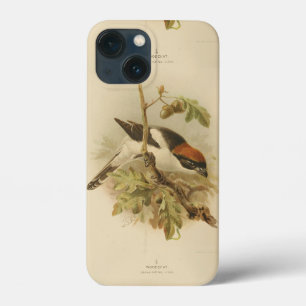  illustratie van Woodchat Shrike iPhone 13 Mini Hoesje