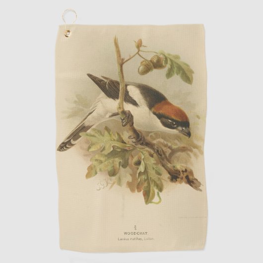  illustratie van Woodchat Shrike Golfhanddoek (Voorkant)