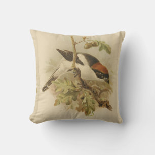 illustratie van Woodchat Shrike Kussen