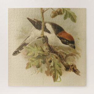 illustratie van Woodchat Shrike Legpuzzel
