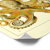 Illustratie vierkant/octopus poster (Hoek)