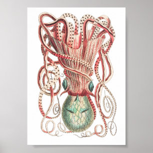 Illustratie vierkant/octopus poster