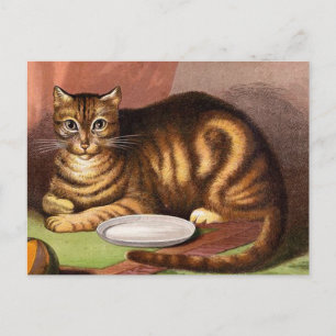 Illustratie Vintage Ginger Tabby Cat Briefkaart